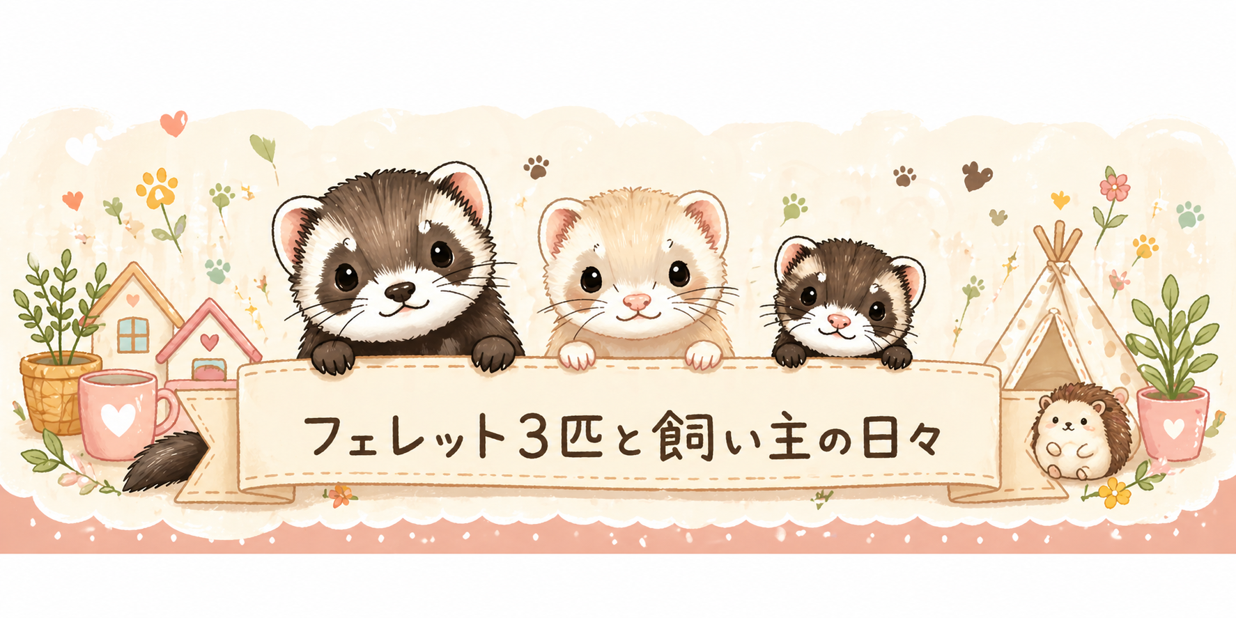 フェレット3匹と飼い主の日々